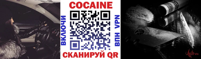 купить   Гусев  Cocaine VHQ 
