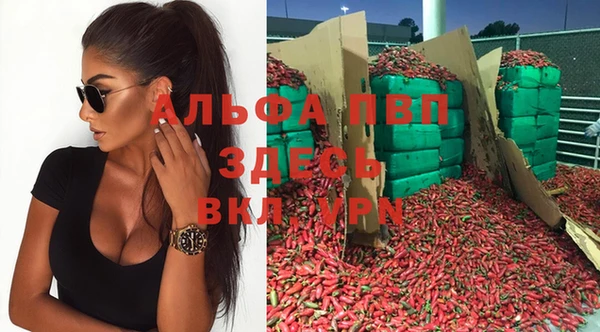 тгк Верея