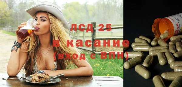 таблы Бородино