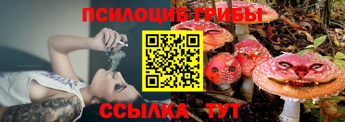Псилоцибиновые грибы GOLDEN TEACHER  Галлюциногенные грибы Psilocybe  купить   Гусев  Вход с VPN 