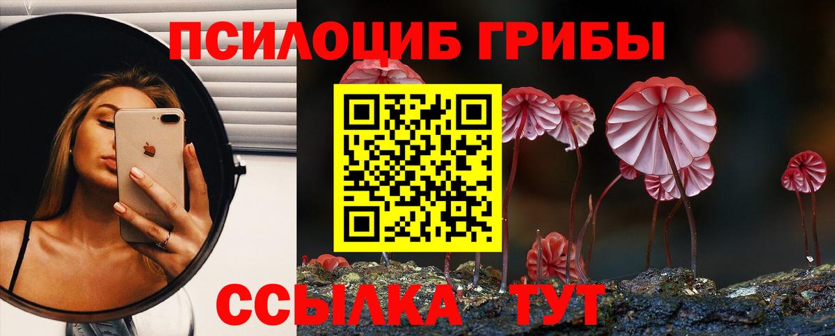Псилоцибиновые грибы Cubensis Гусев