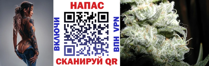 Бошки марихуана планчик  Гусев 